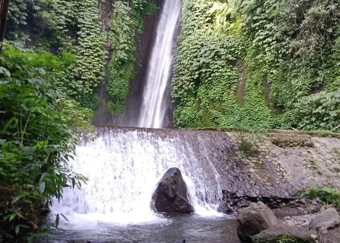 Puri Pilihani Hostel Munduk